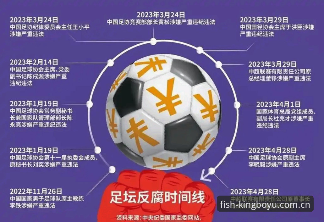 中国足球反腐风暴深度评测：博鱼体育平台视角下的禁足名单与行业净化