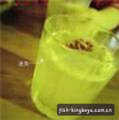 吴迪